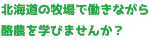 北海道の牧場で働きながら酪農を学びませんか？